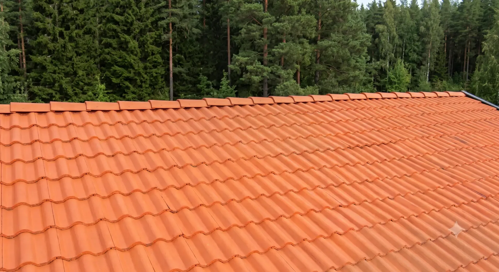 Puhdistettu tiilikatto omakotitalossa